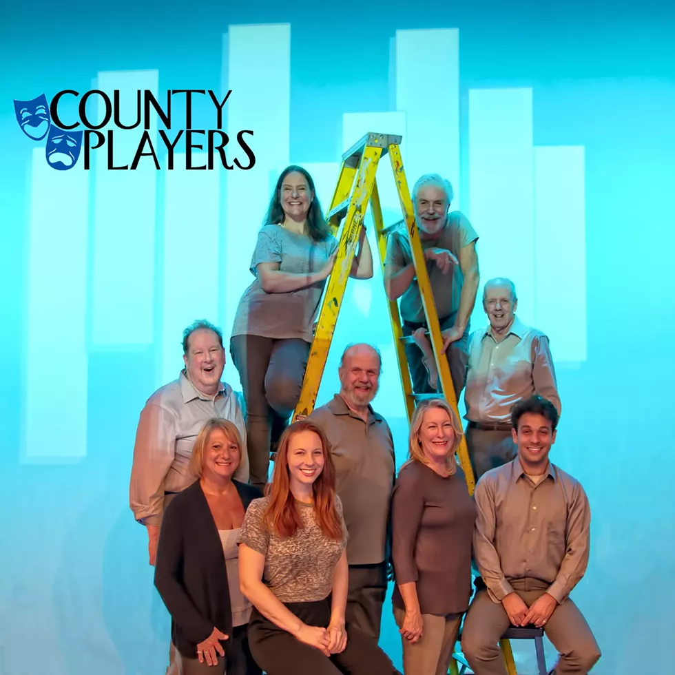 County Players "Prelude to a Kiss" (L-R) Top: Janet Nurre, Bruce Pileggi, Middle: Thomas G. Byrne, Douglas Woolley, Bill Peckham, Bottom: Anna Marie Paolercio, Samantha Shane, Kit Colbourn, Julian Garcia