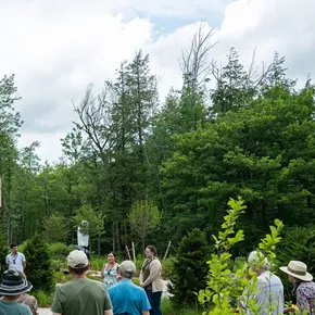 Image: Public Flower Garden Tour