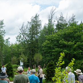 Image: Public Flower Garden Tour