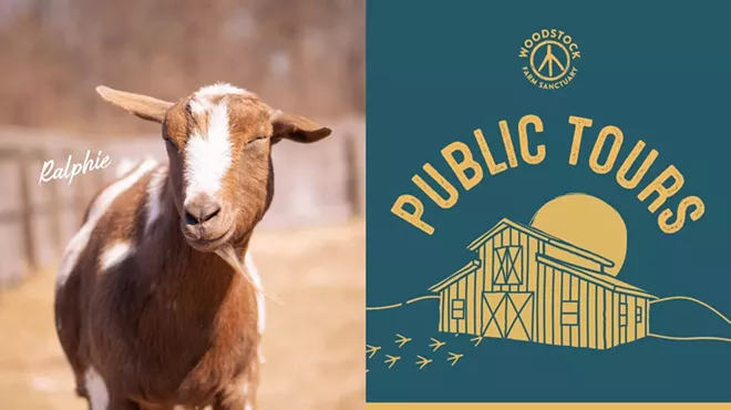 Image: Public Tour at Woodstock Farm Sanctuary