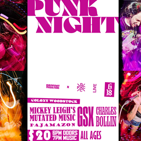 Image: Punk Night at Colony Woodstock