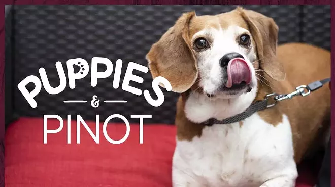 Image: PUPPIES & PINOT IN SUPPORT OF PETS ALIVE!