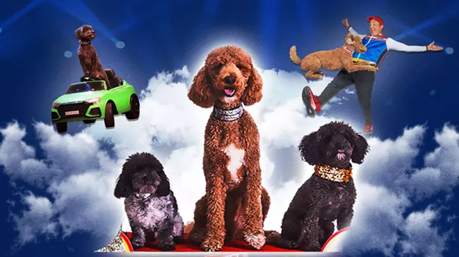 Image: Puppy Pals Live - The Action - Packed Comedic Stunt Dog Show