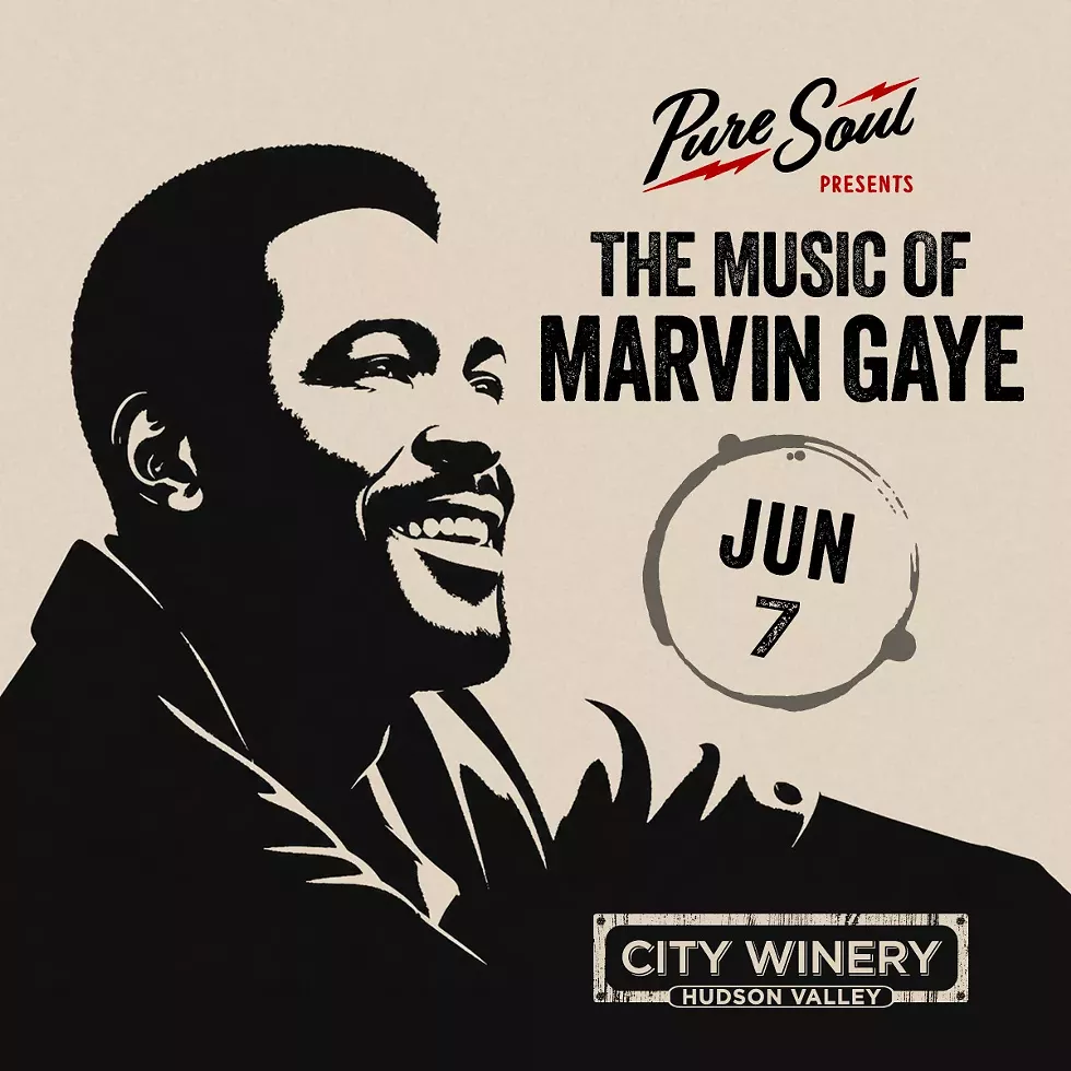 pure-soul-music-of-marvin-gaye-hudson-valley-06-07-26-social.webp