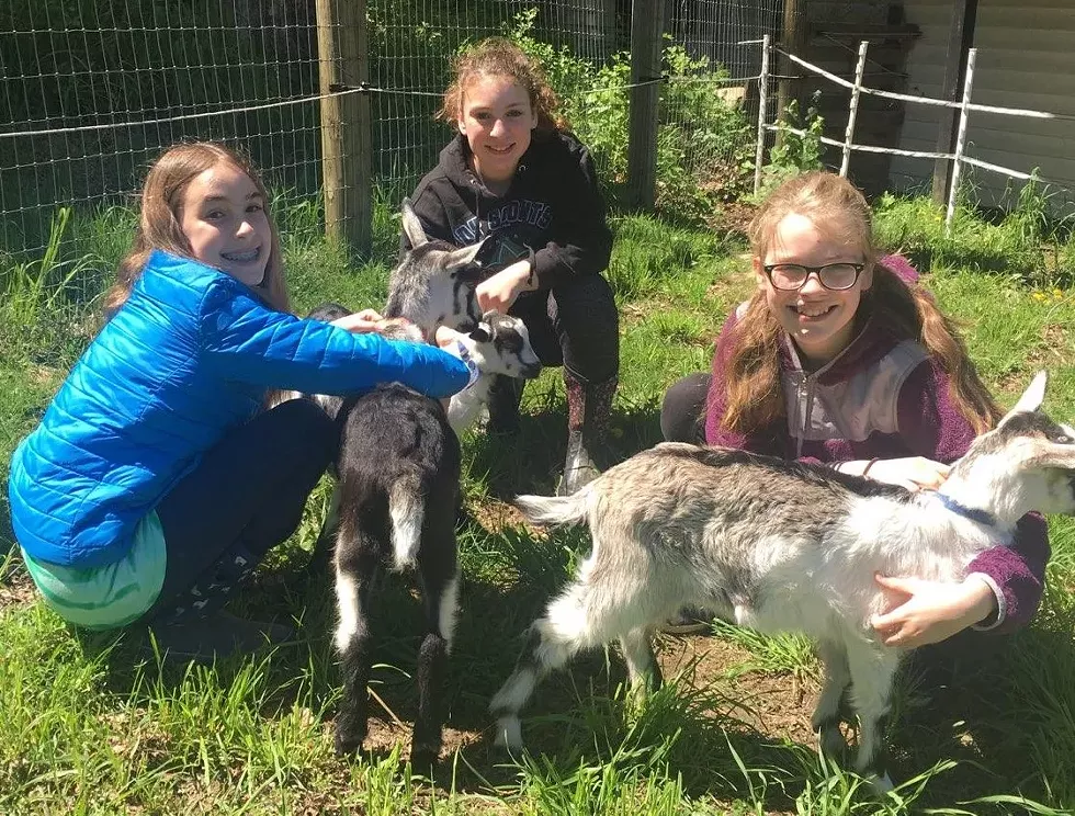 2023-field-guide-country-fest-kids-with-goats.webp