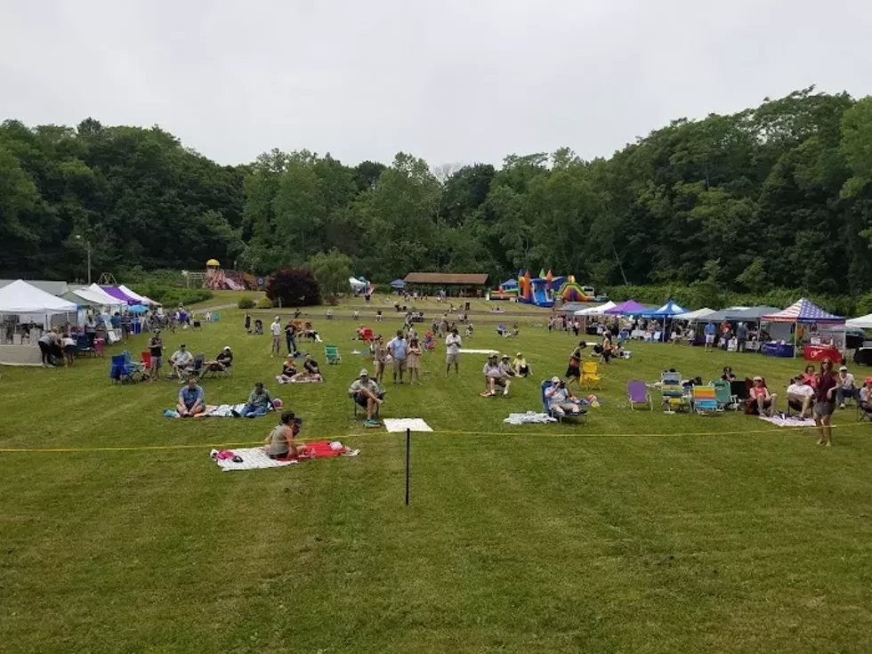 Wells Park Music Festval