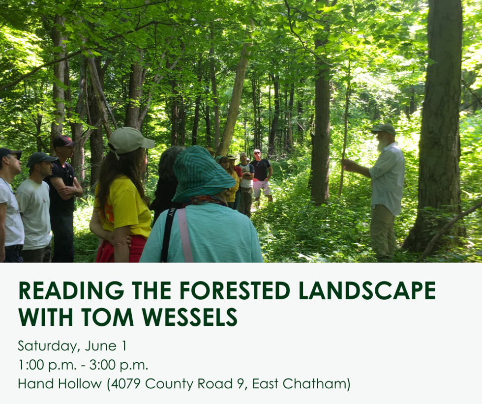 tom_wessels_walk.png