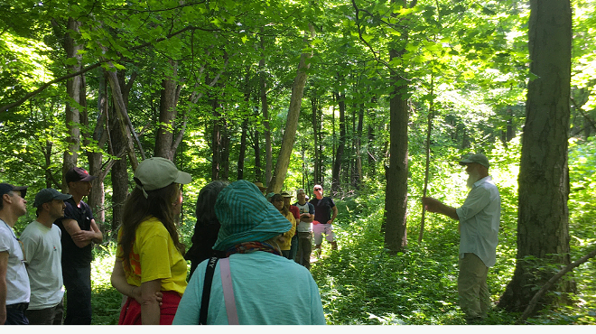 Image: Reading the forested landscape with Tom Wessels