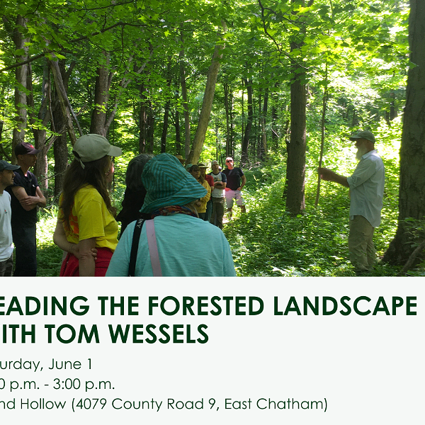 Reading the forested landscape with Tom Wessels