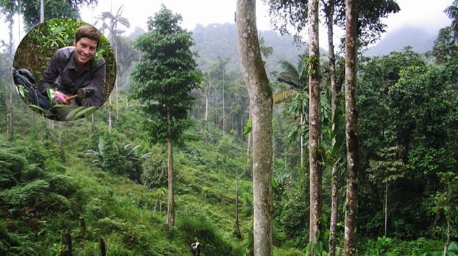 Restoring Resilient Tropical Forests