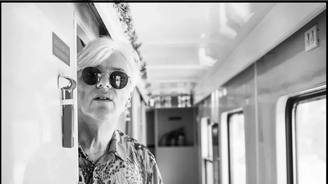 Image: Robyn Hitchcock