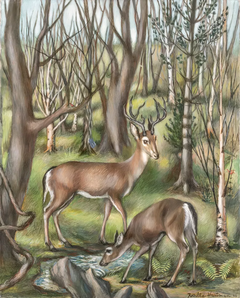 Rosella Hartman, Deer