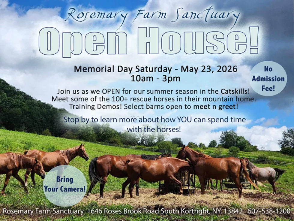 openhouse2026memday.webp