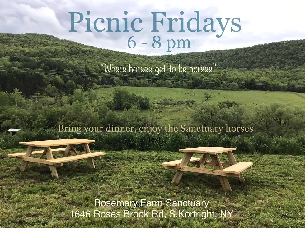 picnic_bench_rosemary_farm.webp