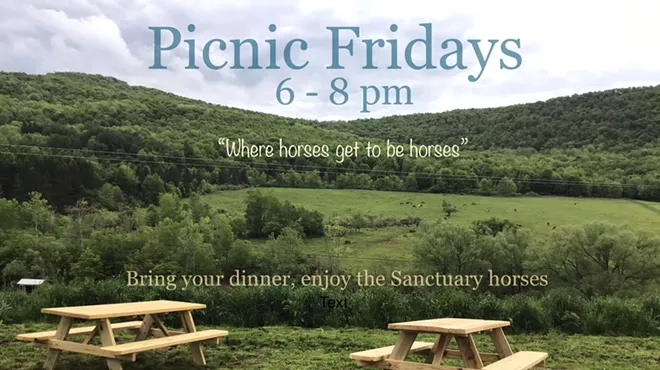 Image: Rosemary Farm Sanctuary Picnic Fridays