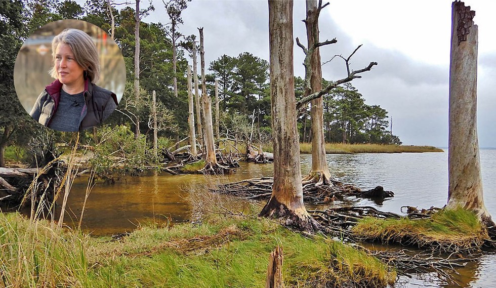 A coastal ghost forest in North Carolina. Inset: Dr. Emily Bernhardt
