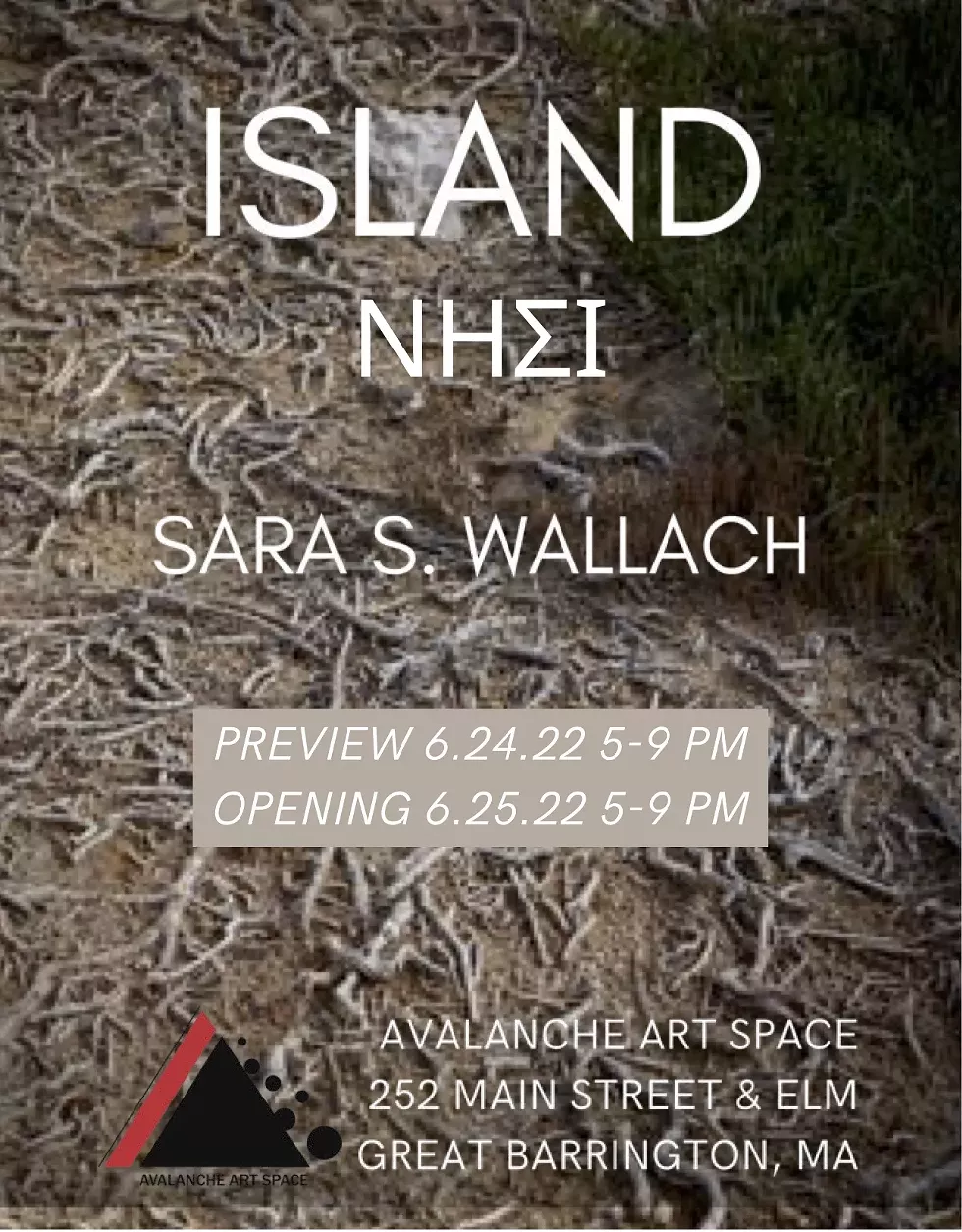 avalanche_sara_walalch_island_-_poster.webp
