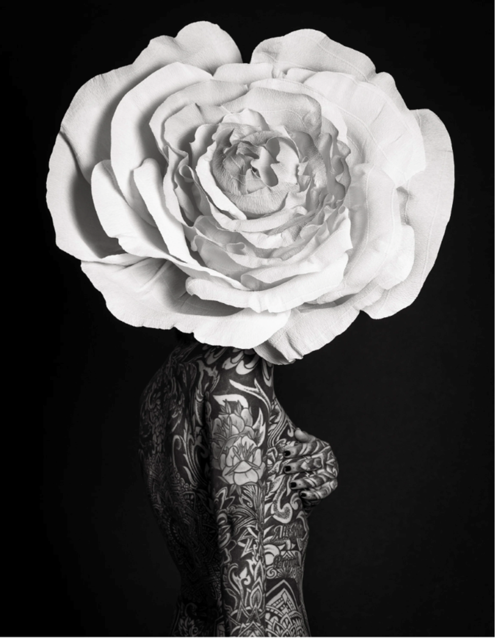 artauctionimage.resized.png