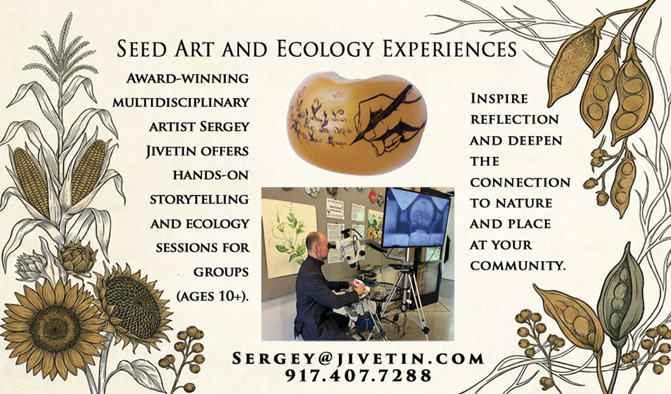 seed_art_and_ecology_experiences.png