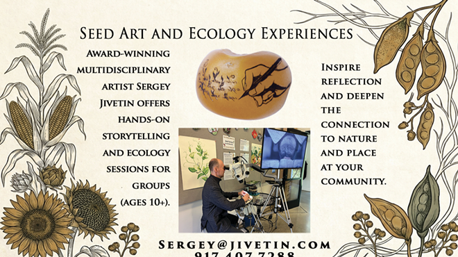 Image: Seed Art and Ecology Experiences