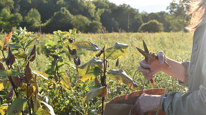 Seed collection hike