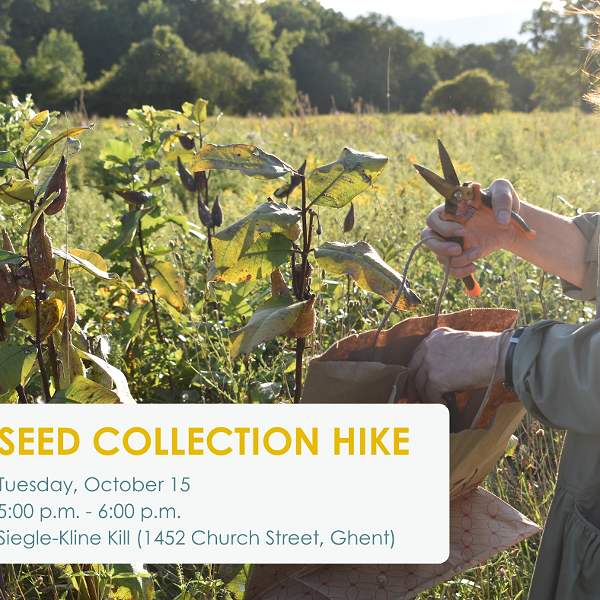 Seed collection hike