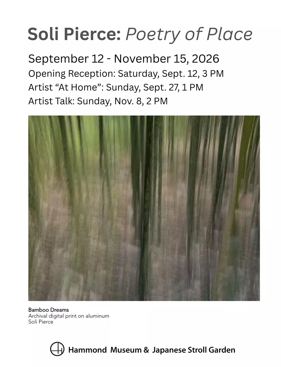 Soli Pierce, Bamboo Dreams, 2026, digital archival print on aluminum