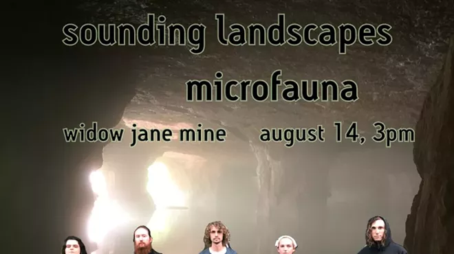 Image: Sounding landscapes: microfauna concert