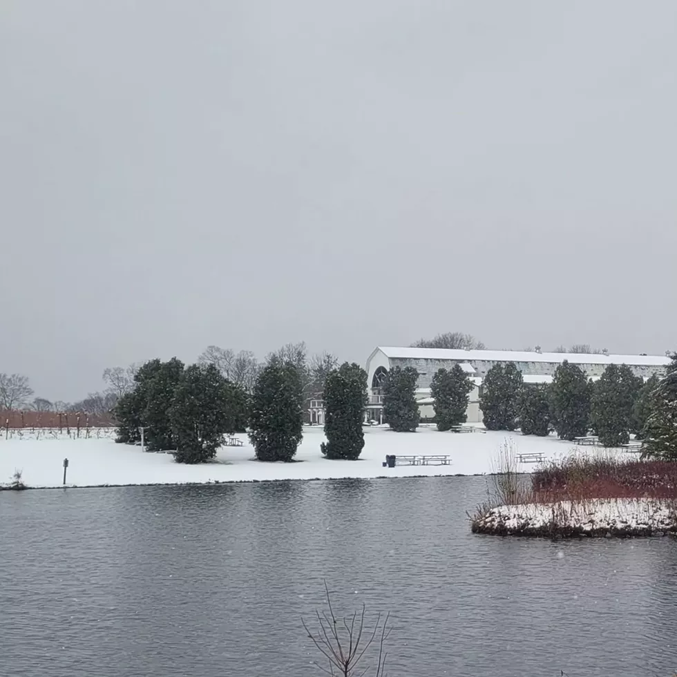 snow_water.webp