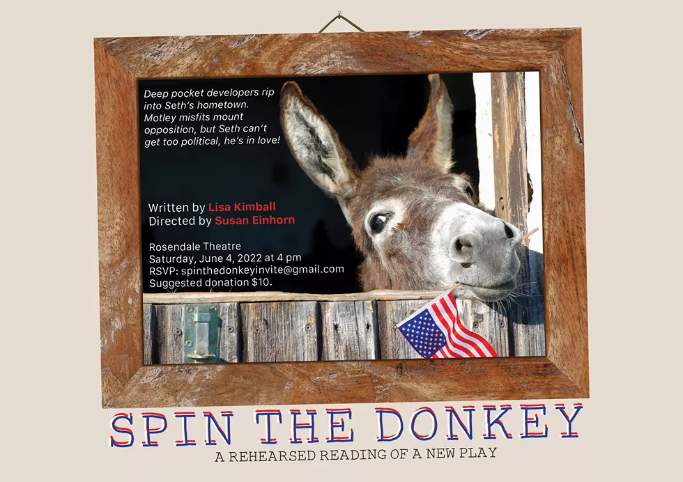 Spin the Donkey