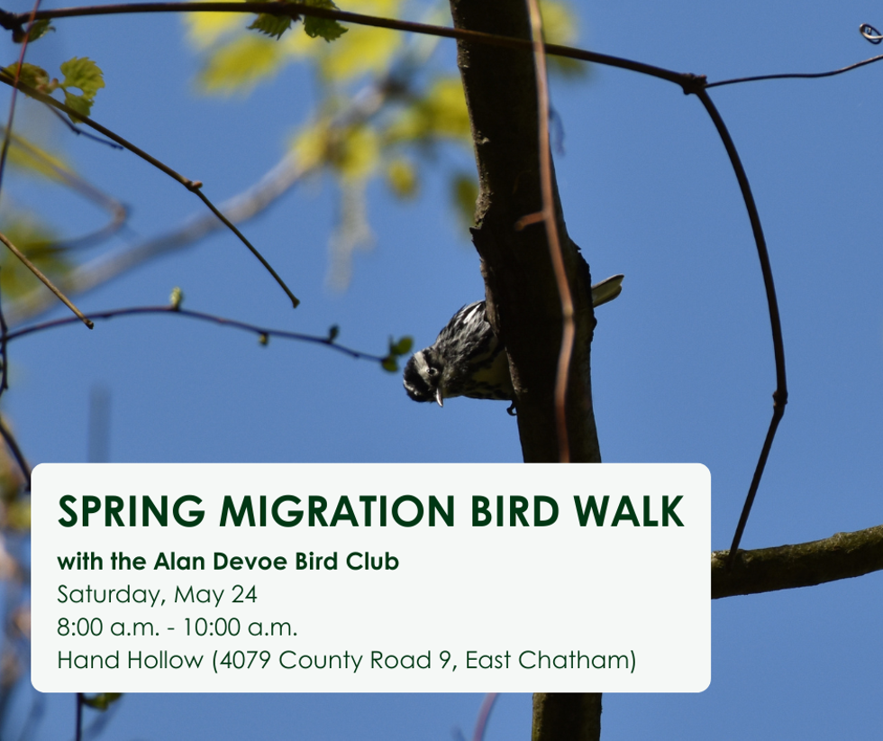 event_post_spring_migration_birding_walk.png