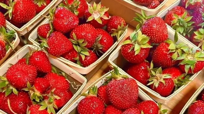 Image: Stawberry-picking Opening Weekend