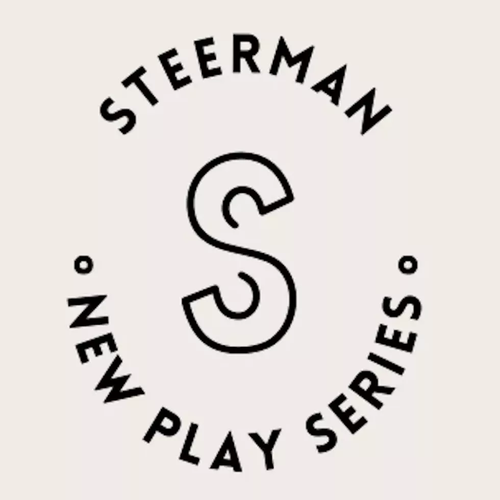 steerman-logo-copy.webp