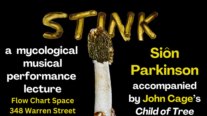 Image: Stink Horn: a mycological musical performance-lecture by Si&ocirc;n Parkinson