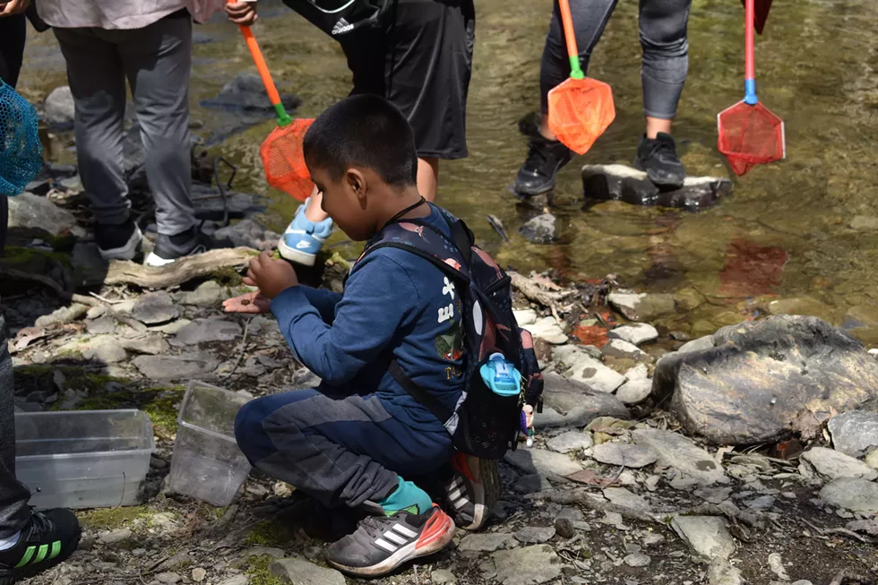 2026-04-18_carolelindstromwalk_highfalls__37__compressed.webp