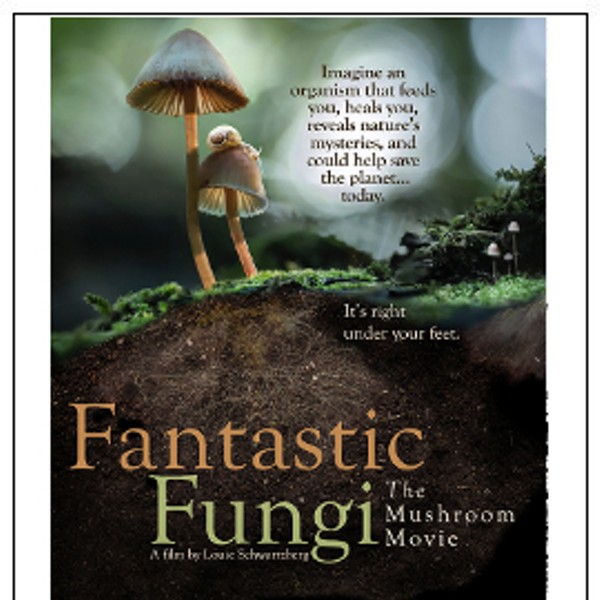 Streaming: The Fantastic Fungi