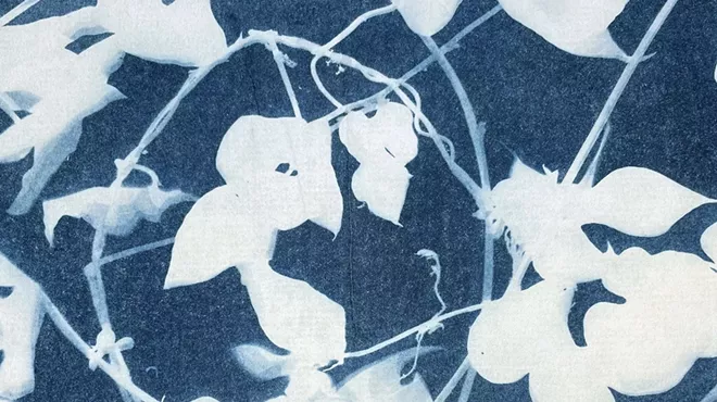 Image: Sun Prints &ndash; Cyanotype