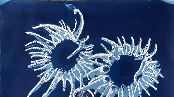 Image: Sun Stroke: Cyanotypes and Phytograms by Peggy Reeves
