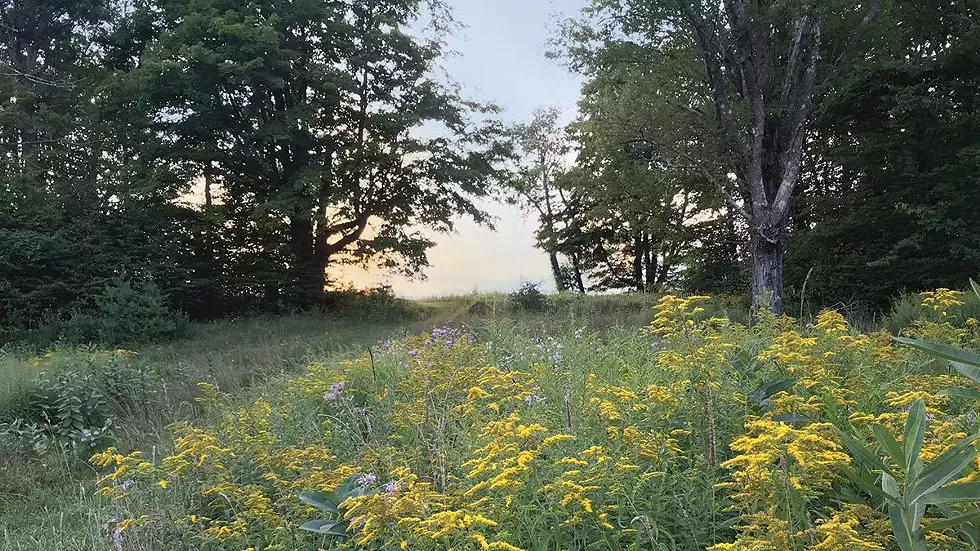 vsnr_sunset_walking_path-web.webp