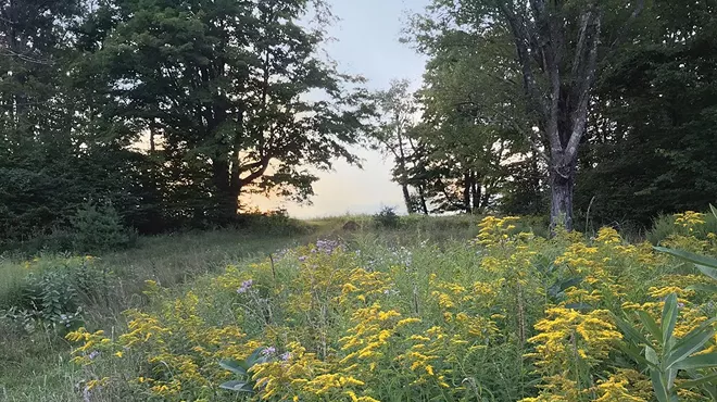 Image: Sunset Wellness Walk