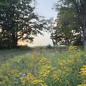 Image: Sunset Wellness Walk