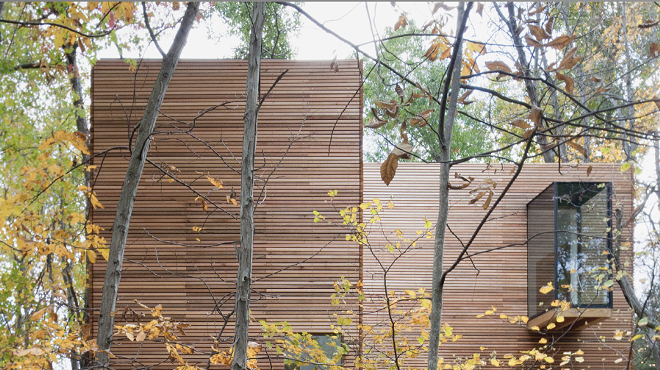 Image: 'T' Space Rhinebeck