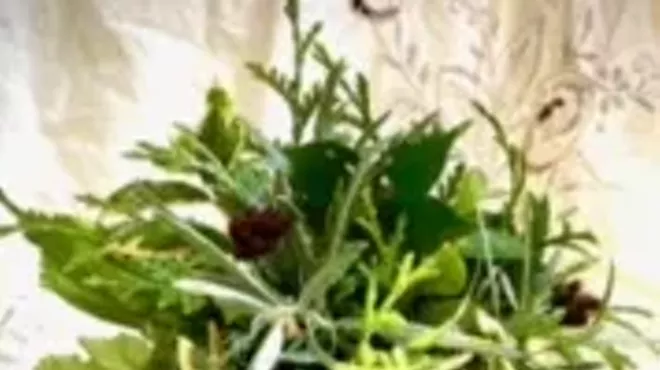 Image: Tabletop Topiary