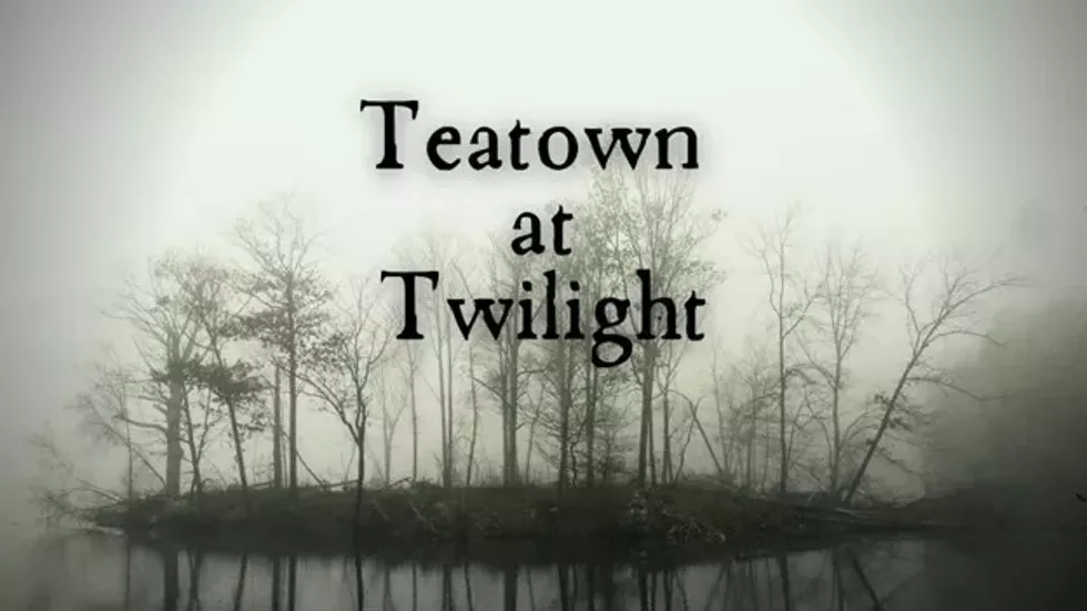 teatown_at_twilight_event_photo.webp