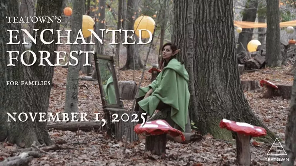 teatown_enchanted_forest_event_photo.webp