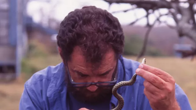 Image: The Berkshire Reptiles - Turtles and Snakes