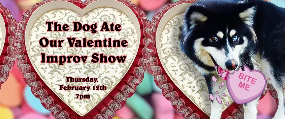 A husky dog chews a Valentine candy heart