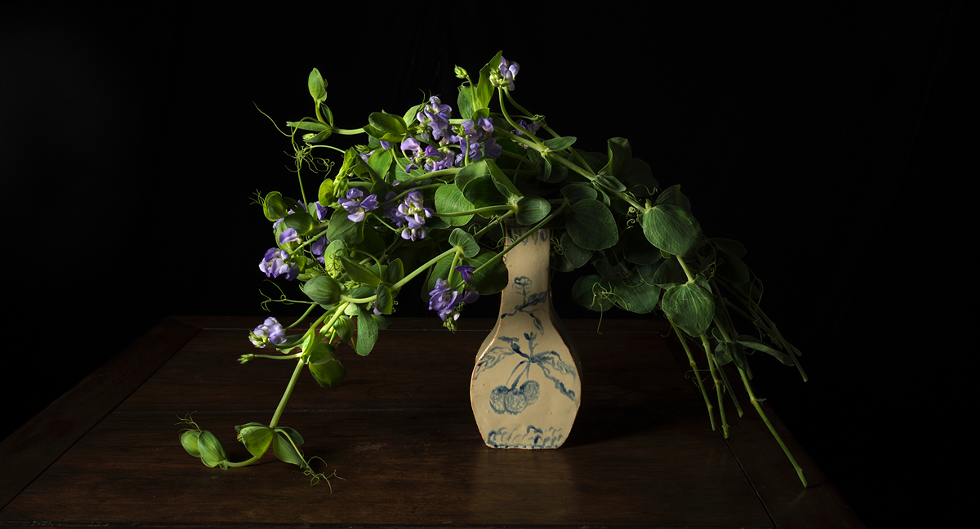 han-feng_the-gift-iii-no.-21-sweet-pea-vine_2022.png