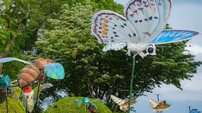 Image: The Great Pollinator Ramble at Innisfree