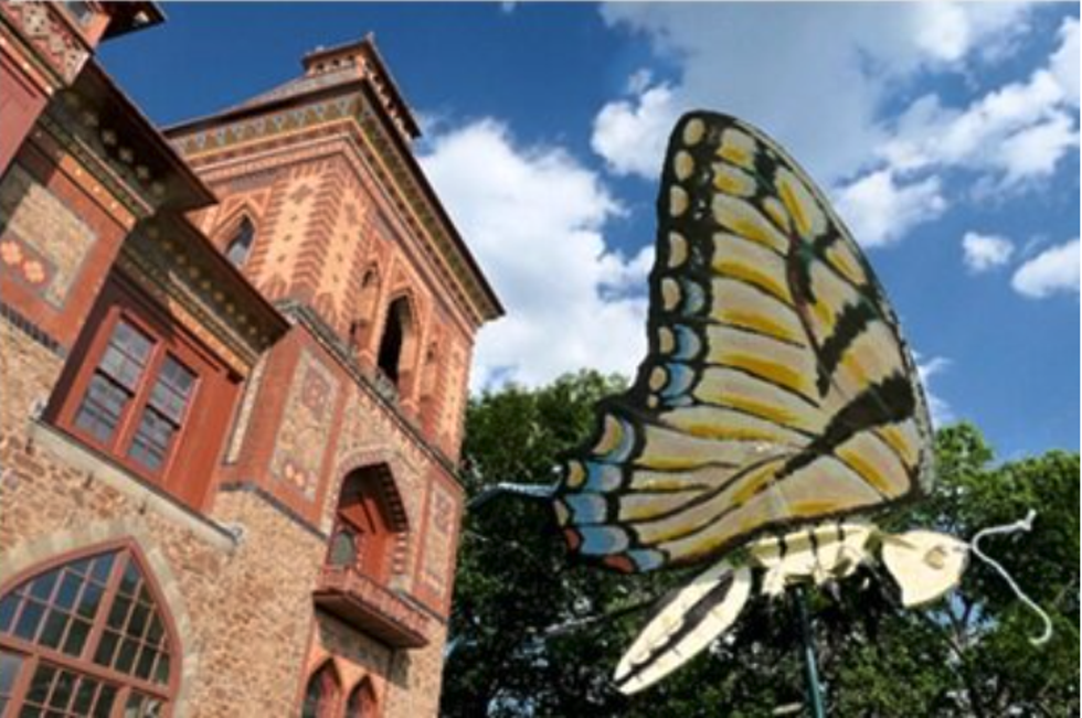 butterfly_olana.png